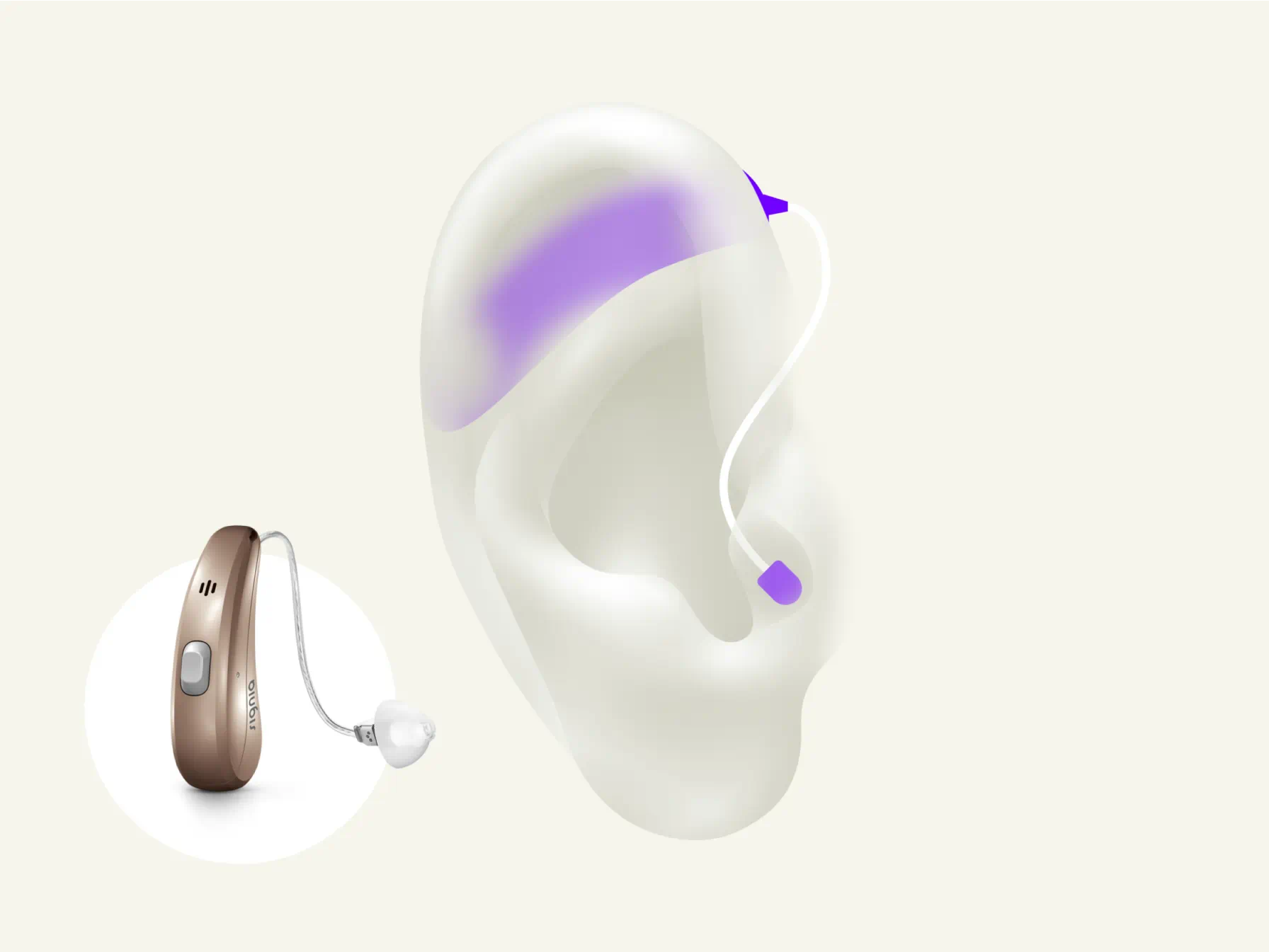 bte hearing aids